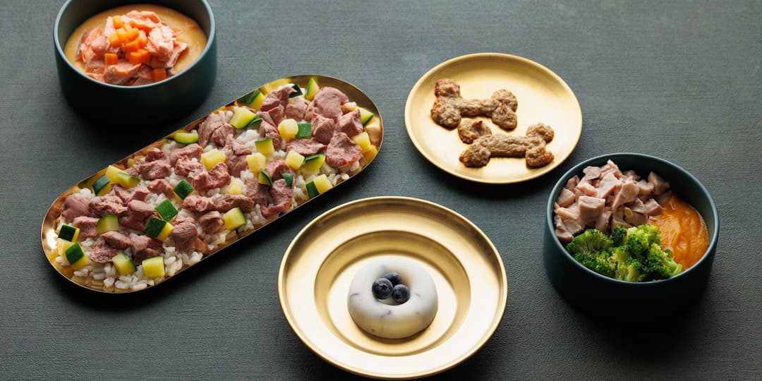 Специальное меню для собак в Butler