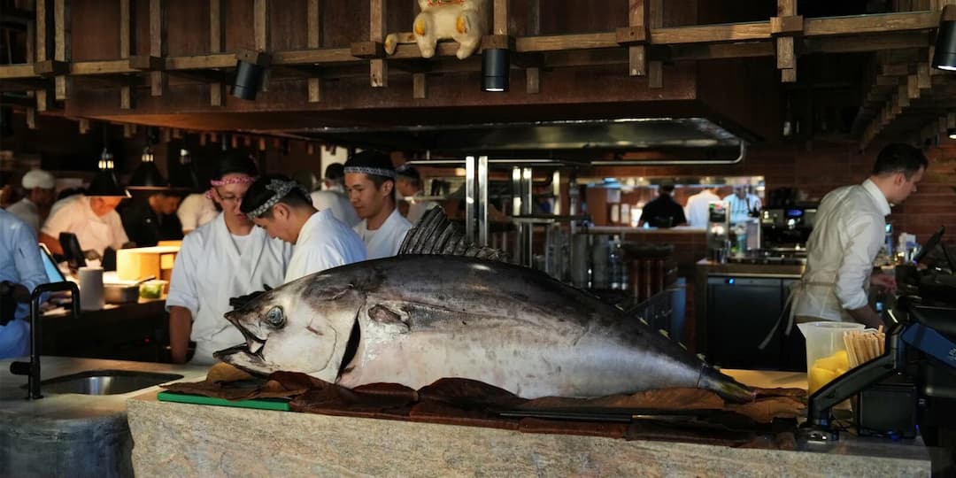 В Ikura разделают атлантического тунца