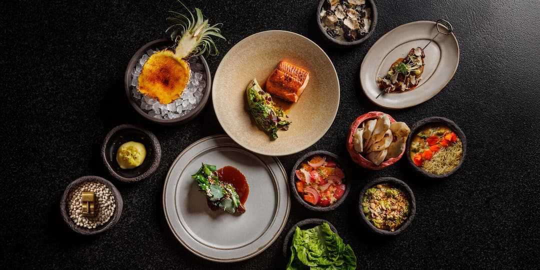 Первый дегустационный сет Тома Халпина в Maya